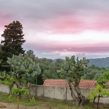 Kanakades Village House Corfu  Экстерьер фото