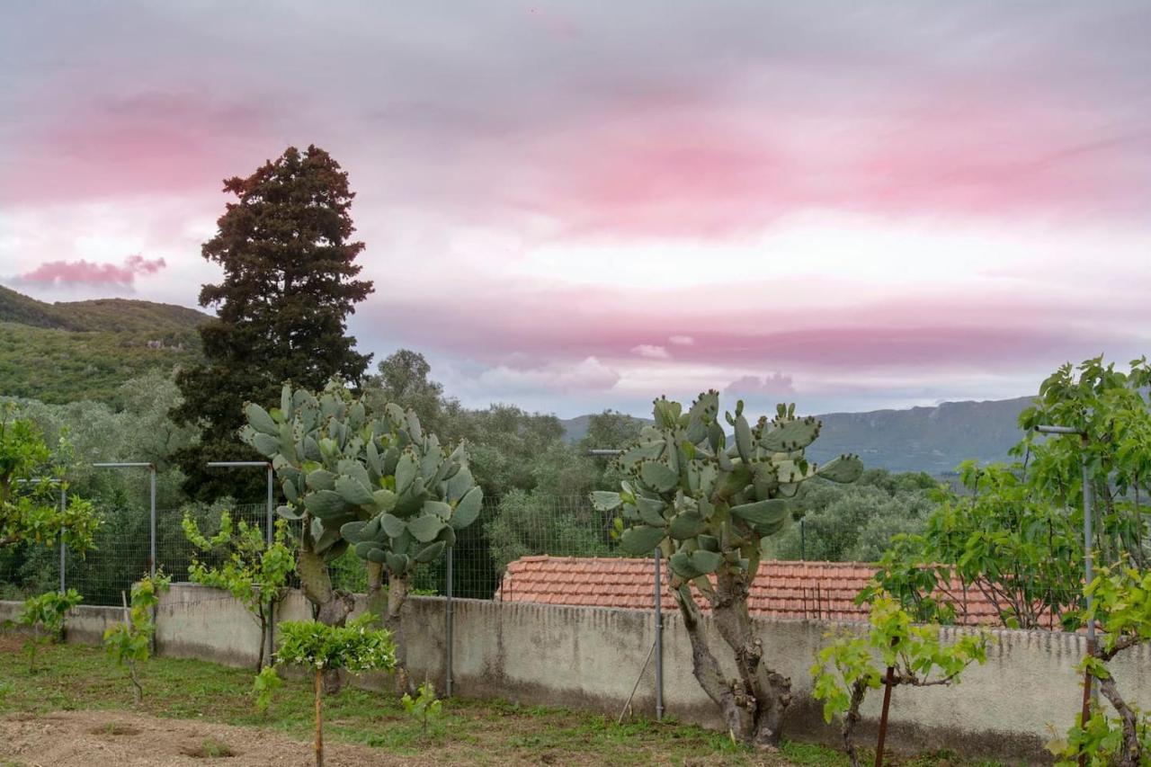 Kanakades Village House Corfu  Экстерьер фото